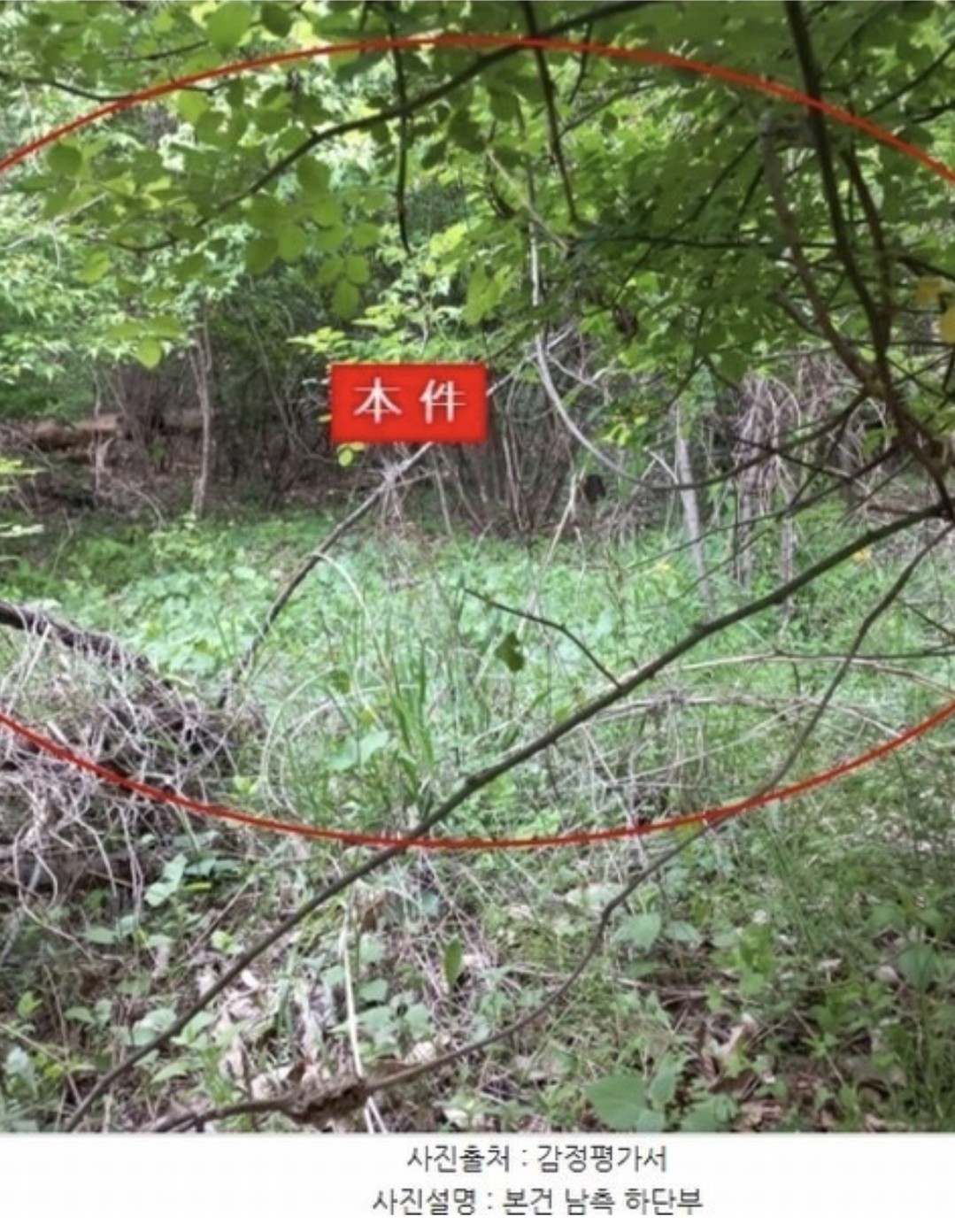 Post image 5
