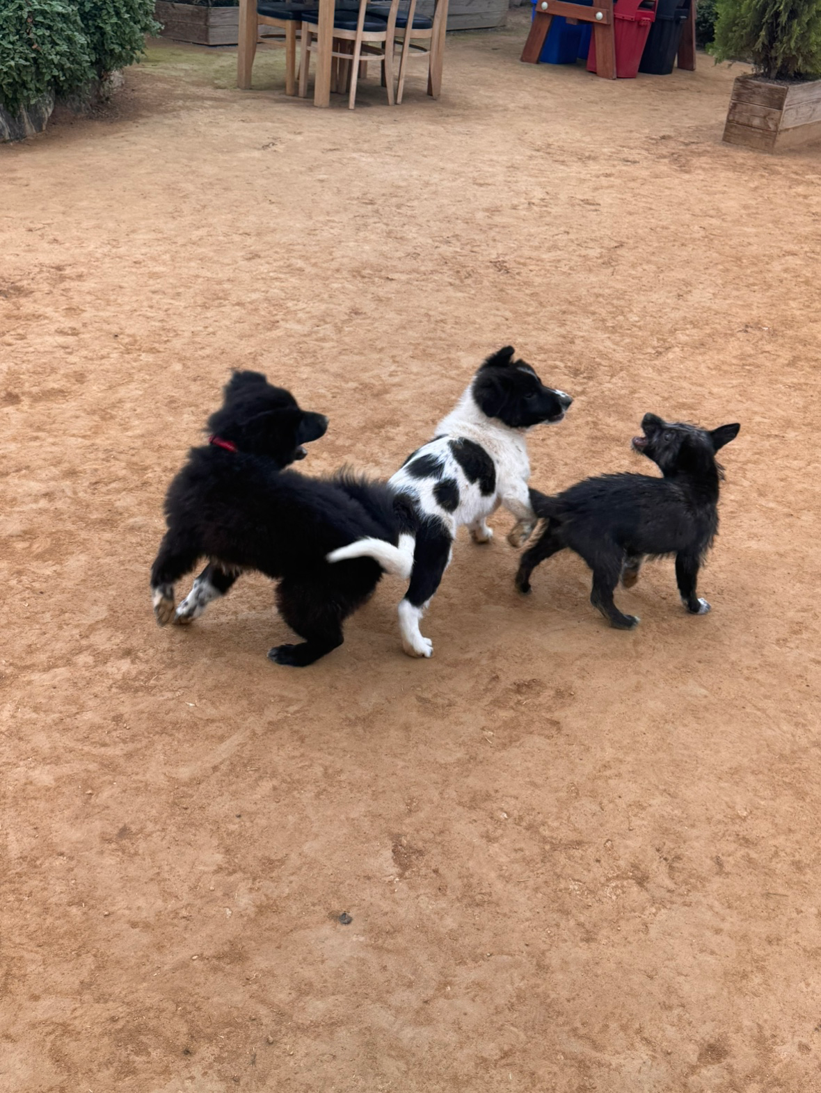 오늘 아침에 일찍 못 일어낫어요 반성합니다