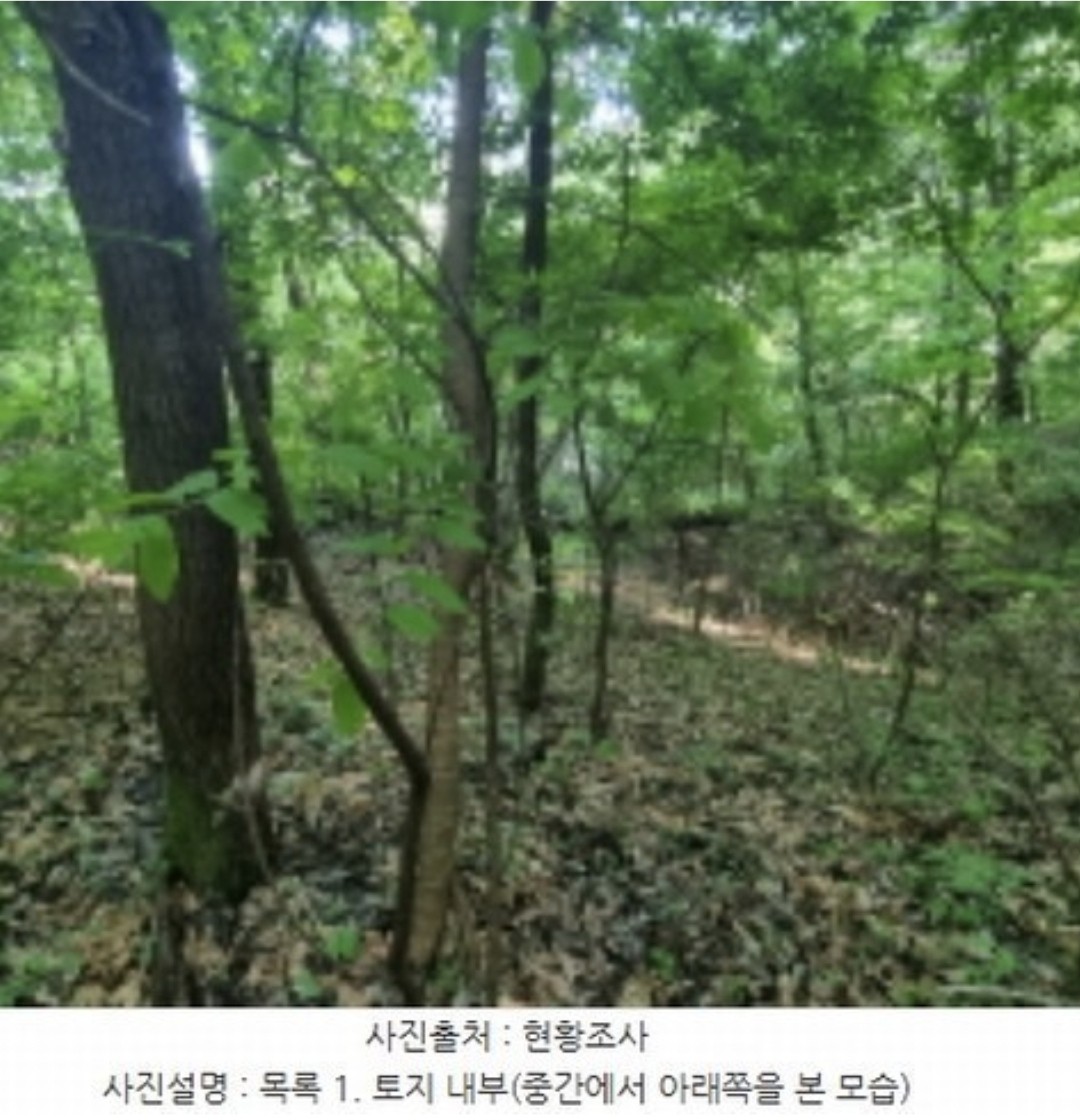 Post image 7