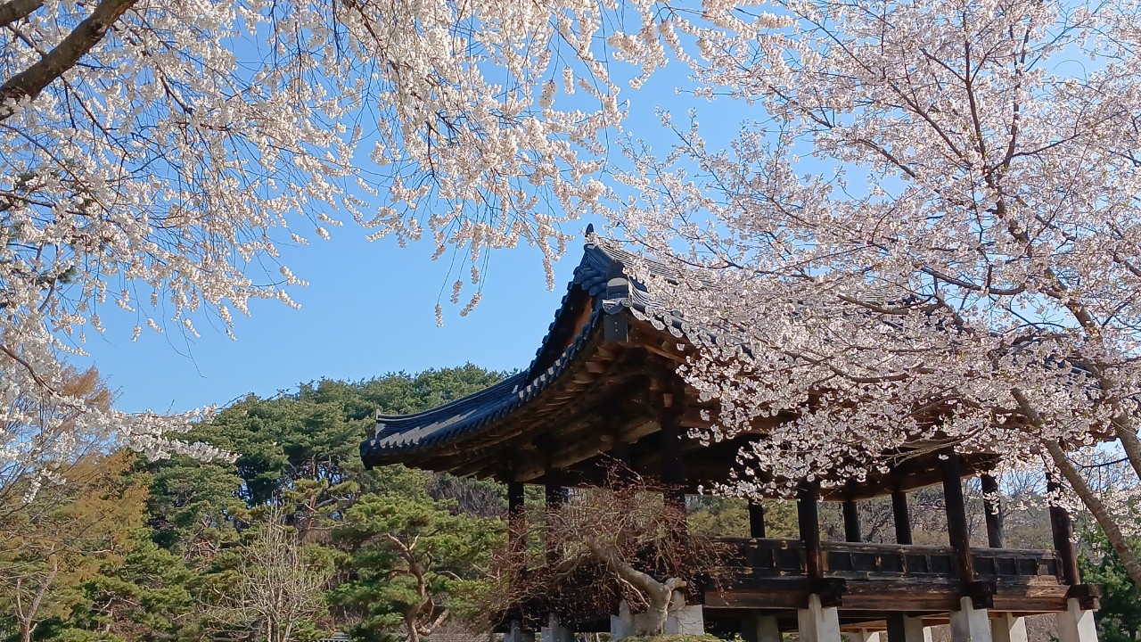 Post image 5