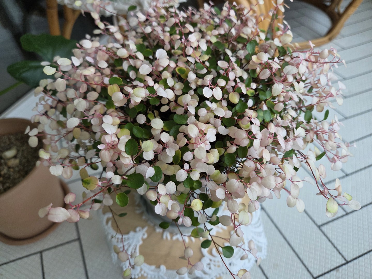 Post image 2
