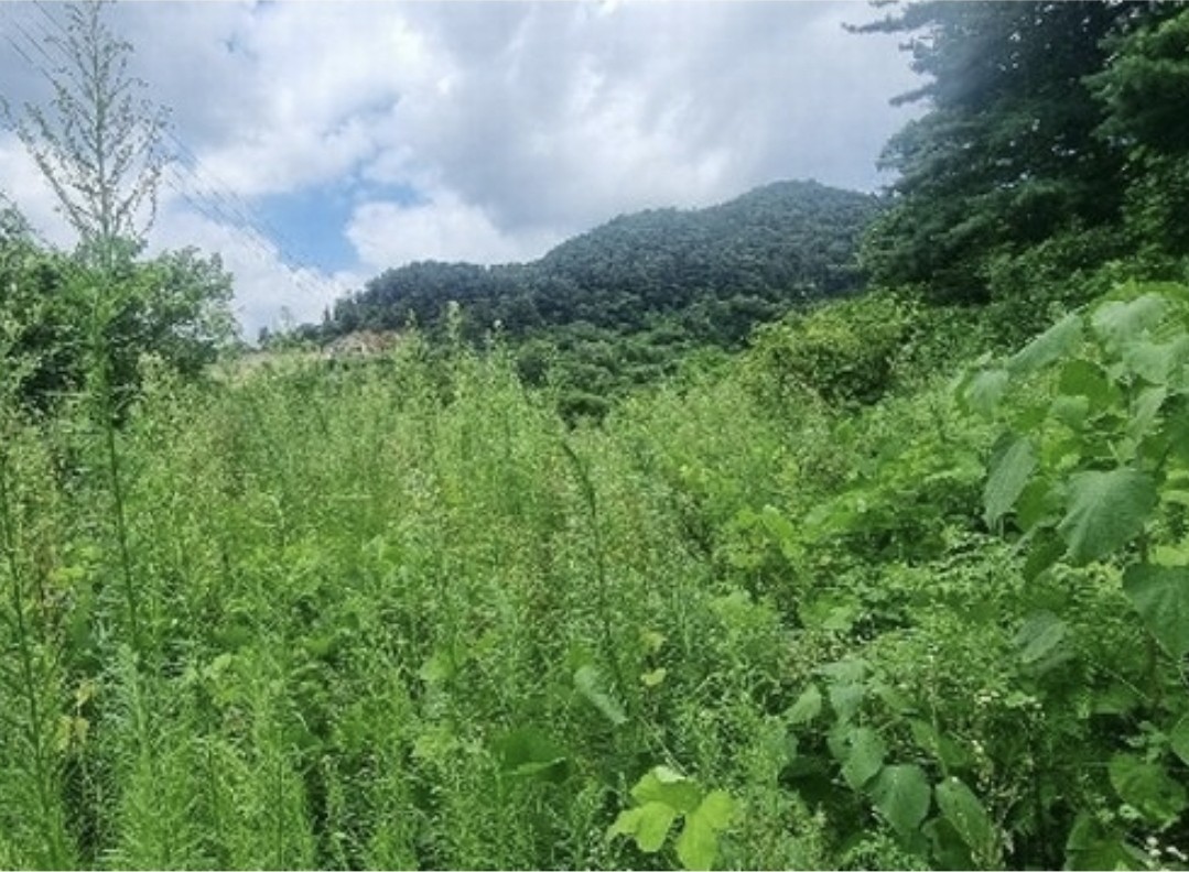 Post image 5