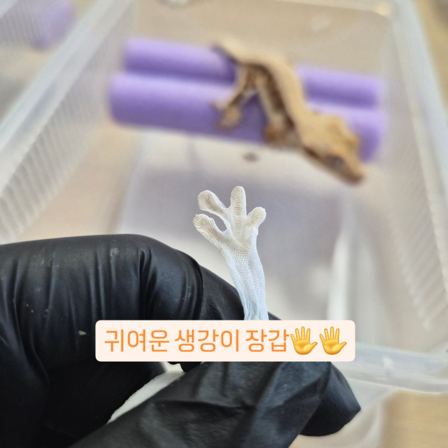 Post image 9