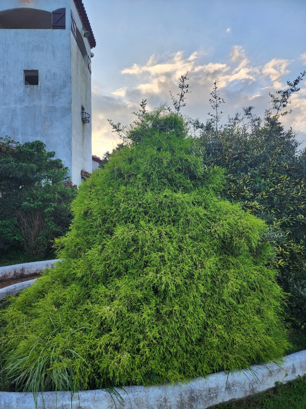 Post image 5