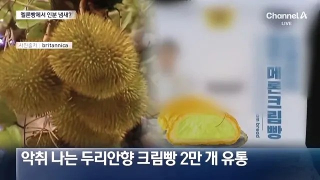 (실화!!)멜론빵에서 X냄새가??