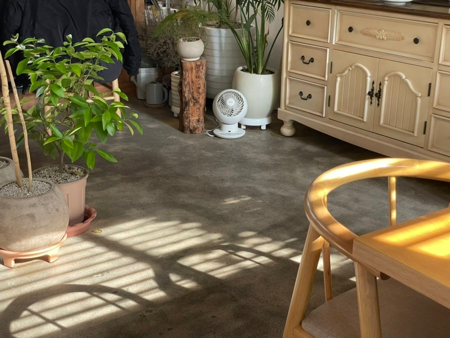 브런치 좋아하시는 분 계신가요 😊