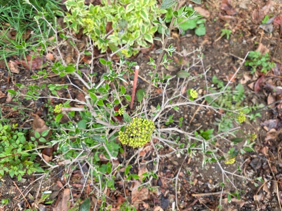 Post image 14
