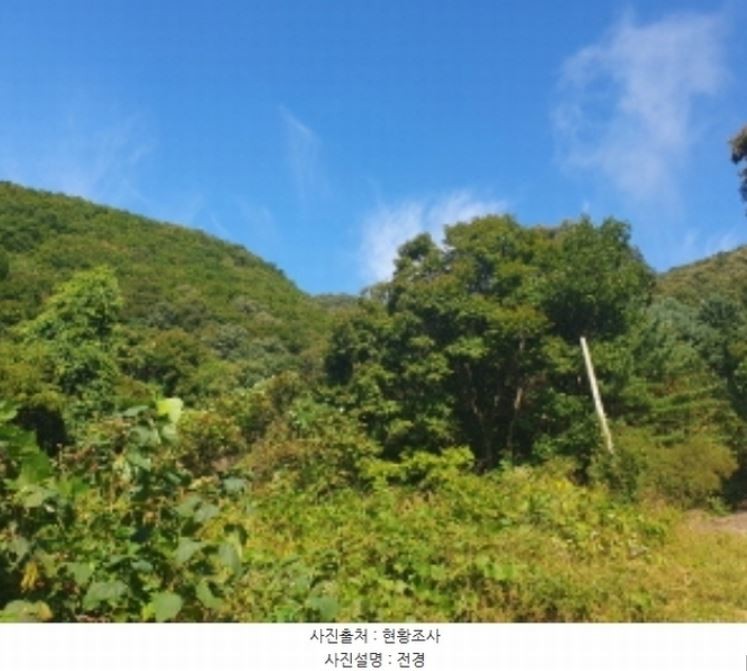Post image 6