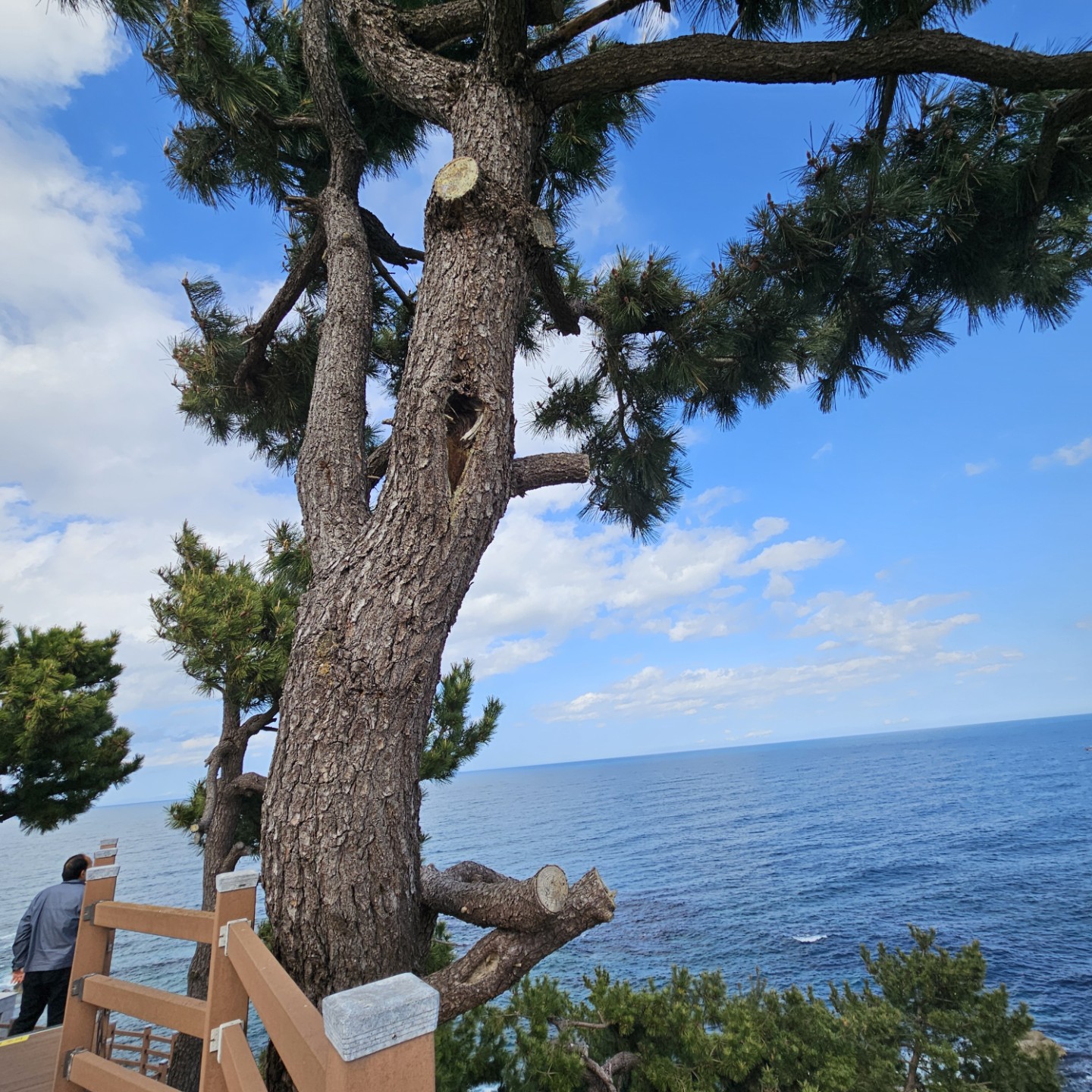 Post image 3