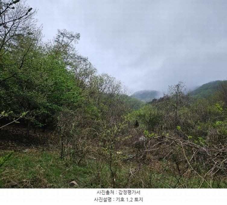 Post image 5