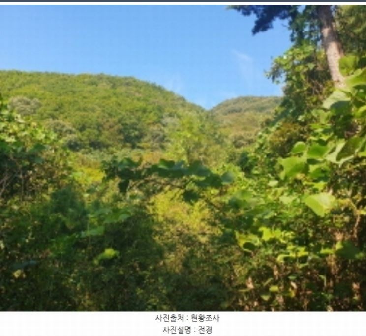 Post image 8