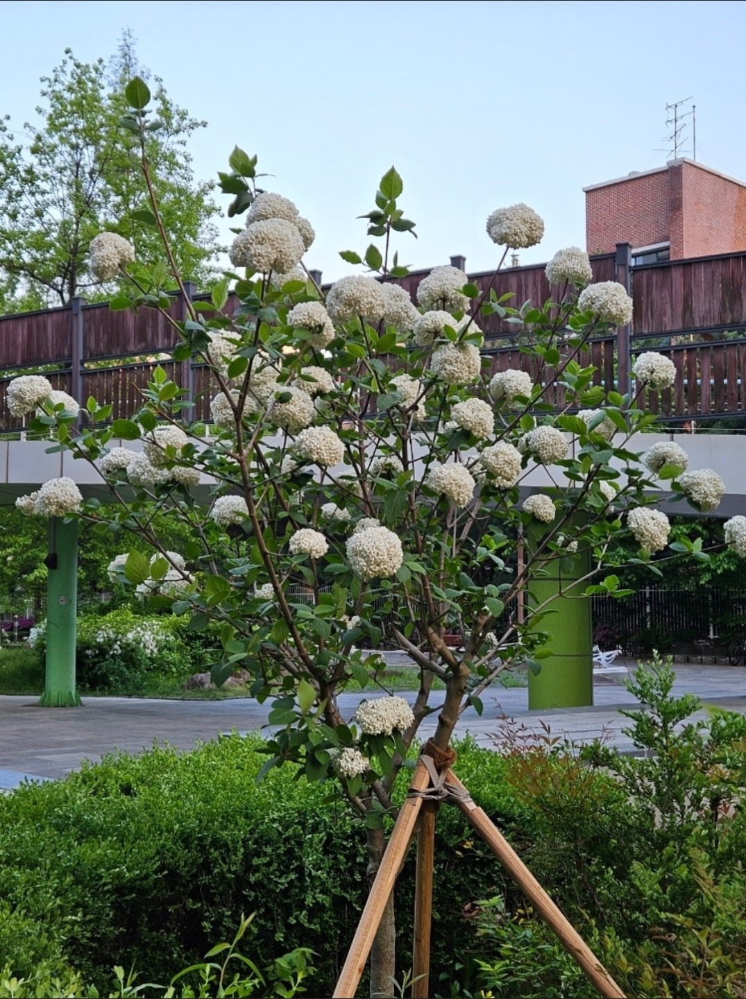 Post image 7