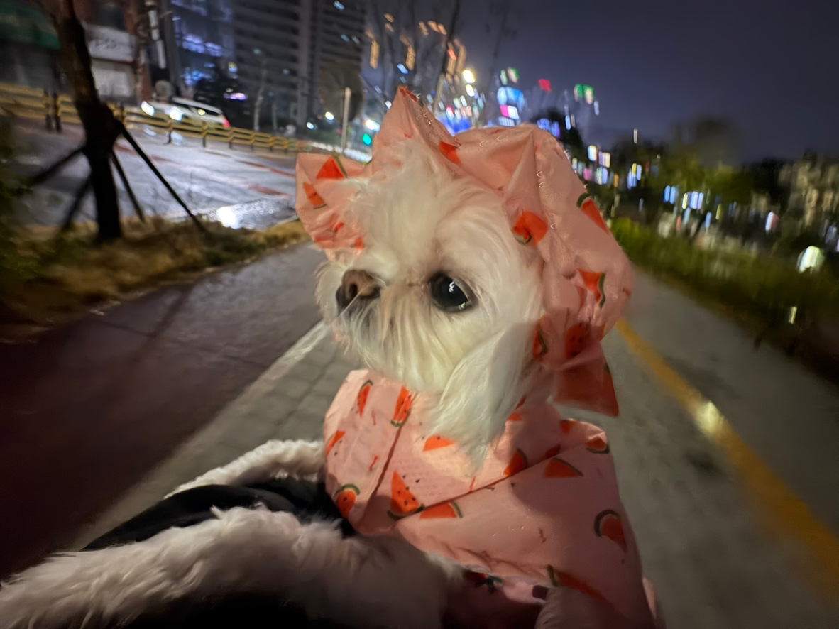 출석체크!