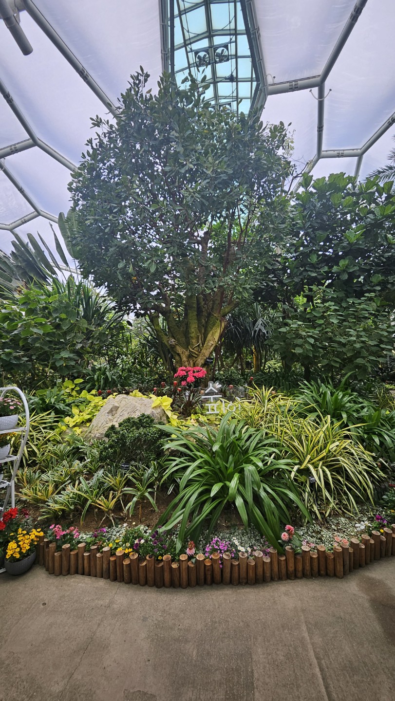Post image 5
