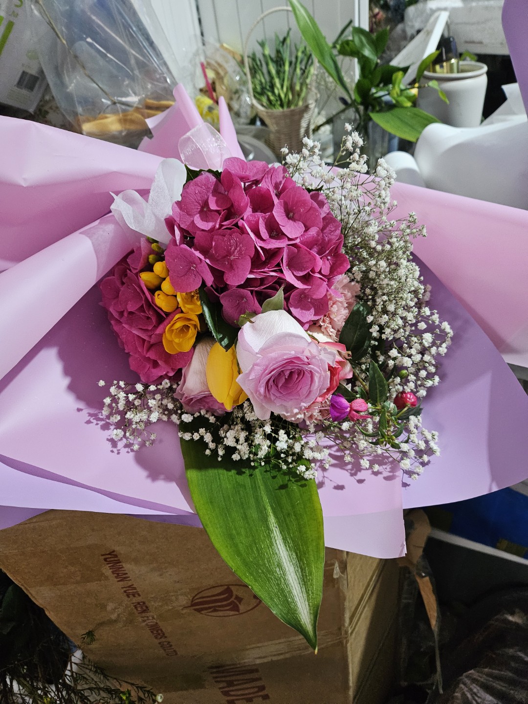 Post image 7