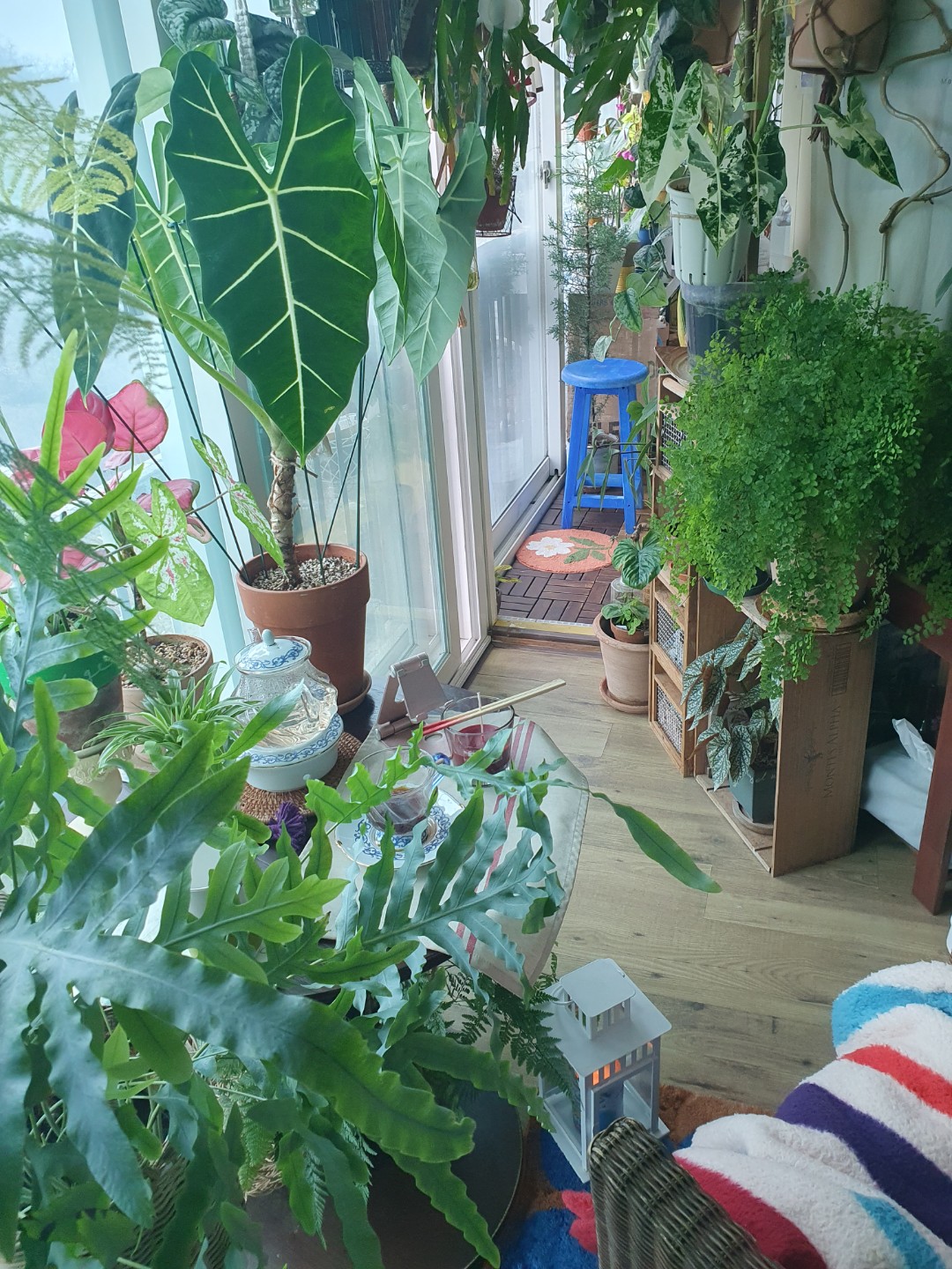 Post image 23