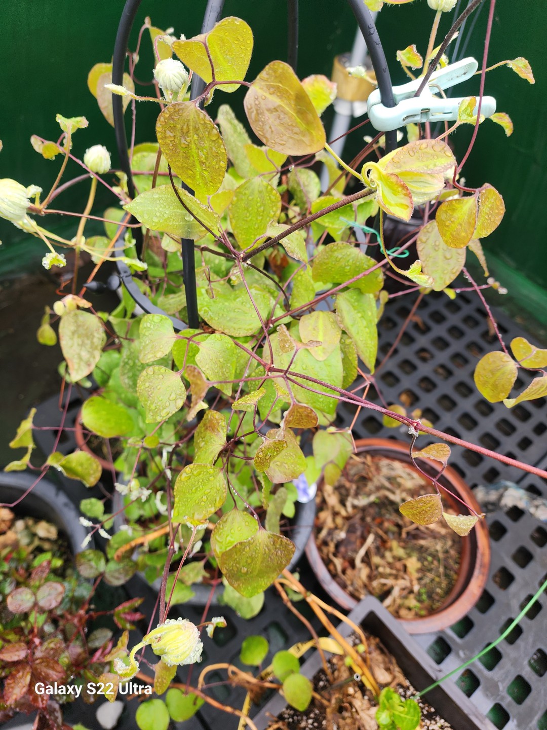 Post image 12
