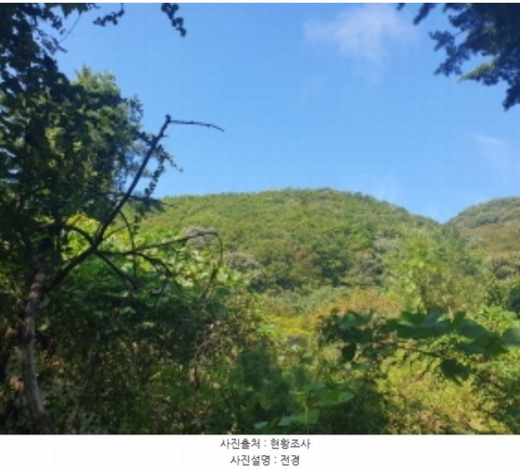 Post image 7