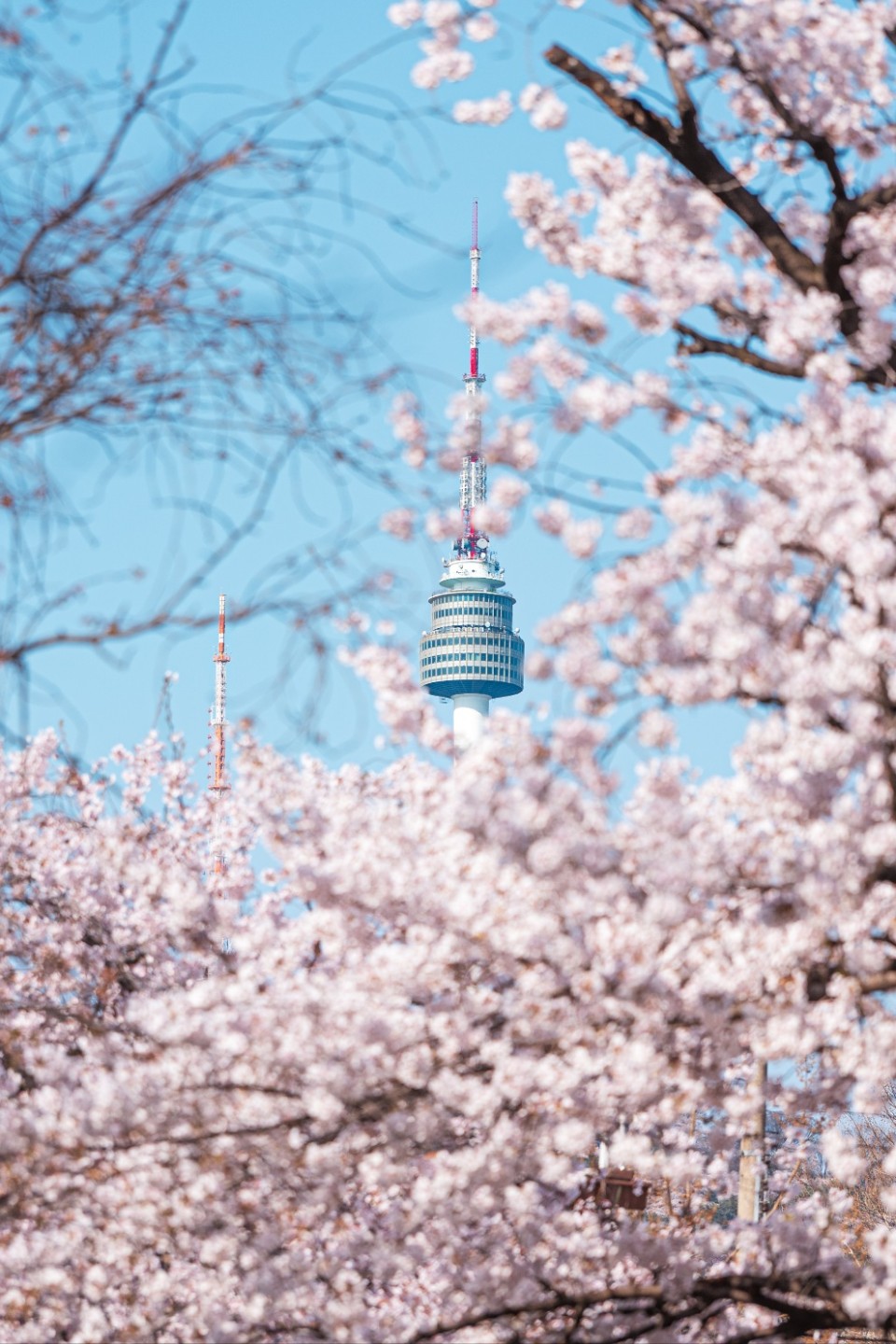 그저 흘러갈뿐....