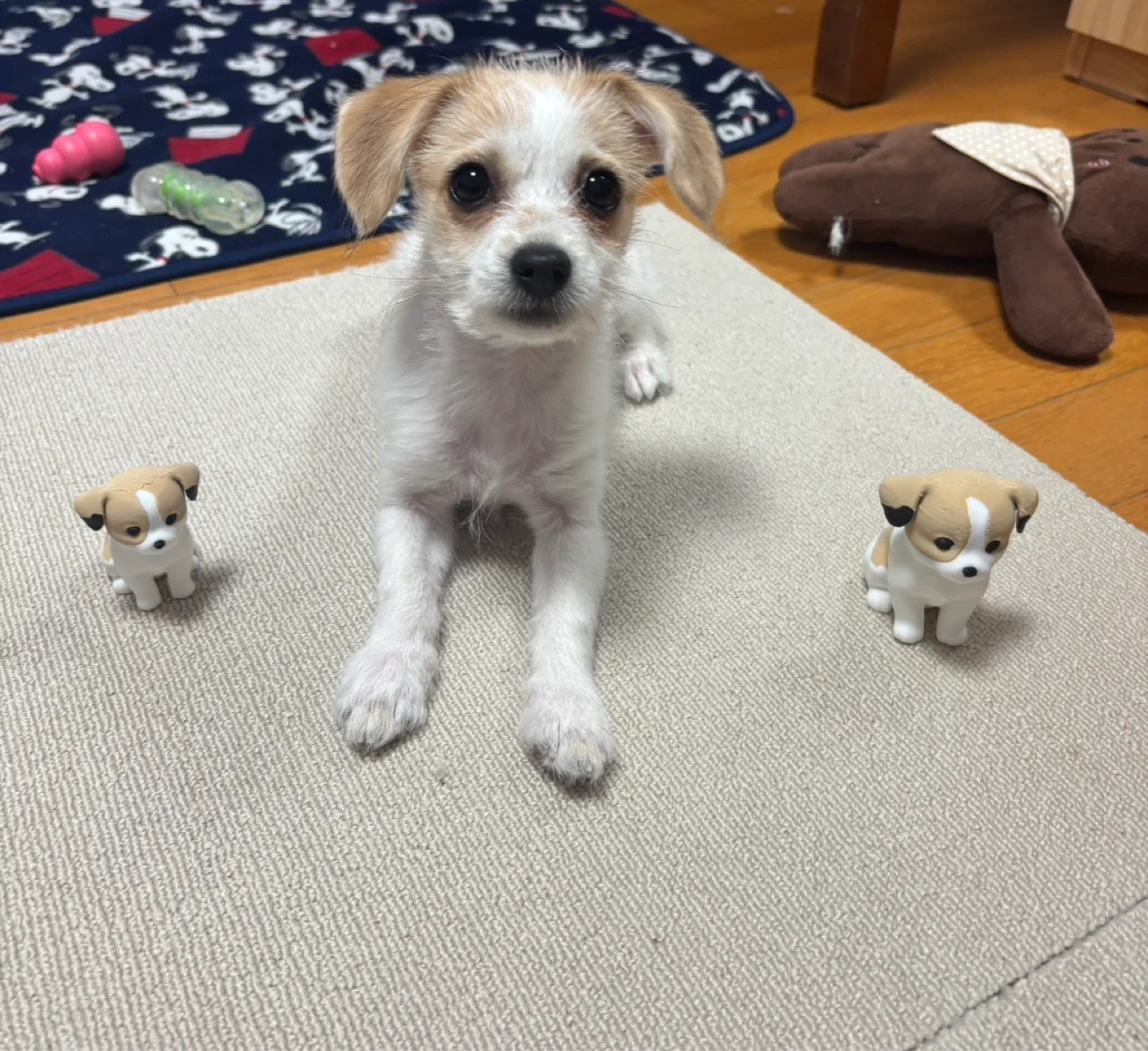 이번주 챌린지 다시 오픈합니다!