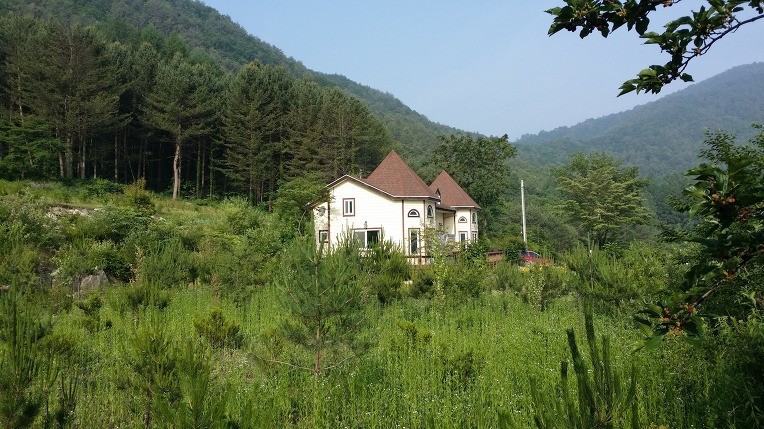 Post image 6