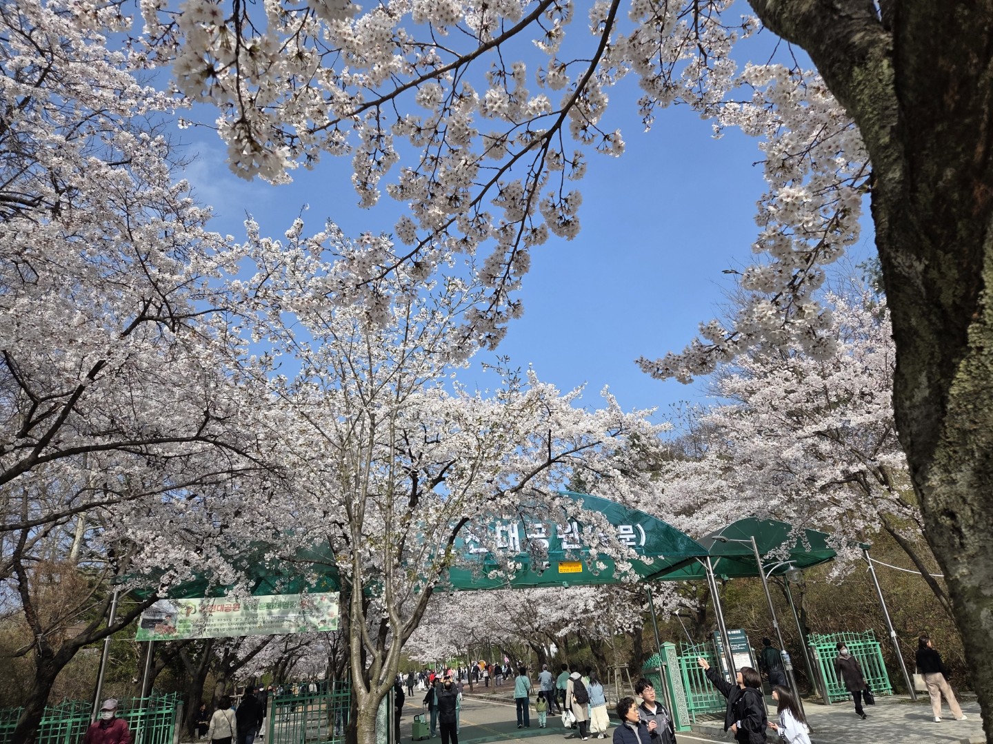 Post image 5