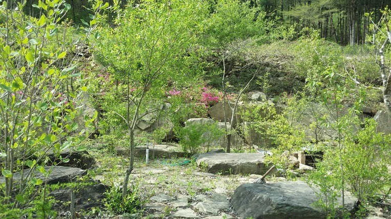 Post image 12
