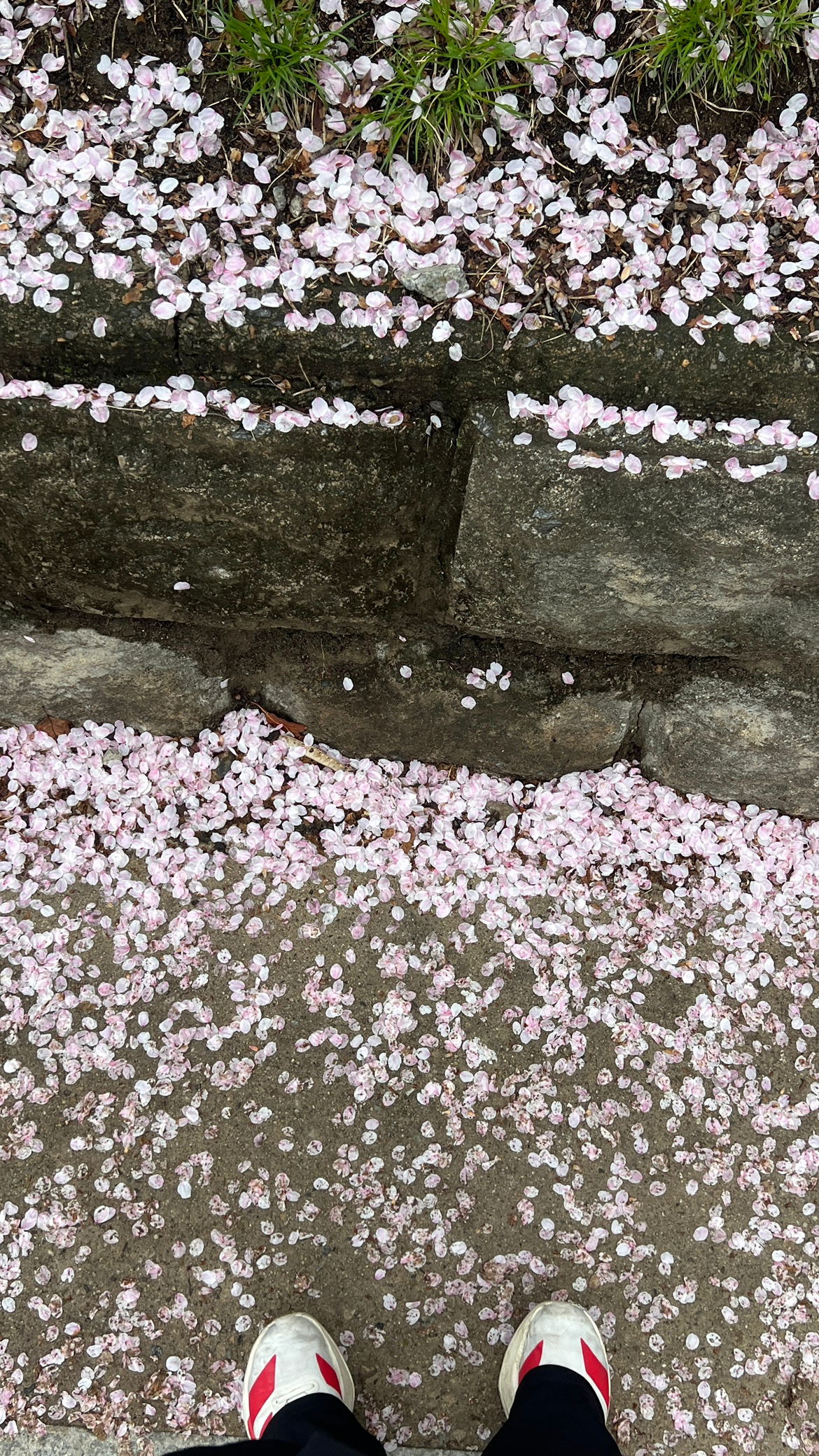 Post image 7