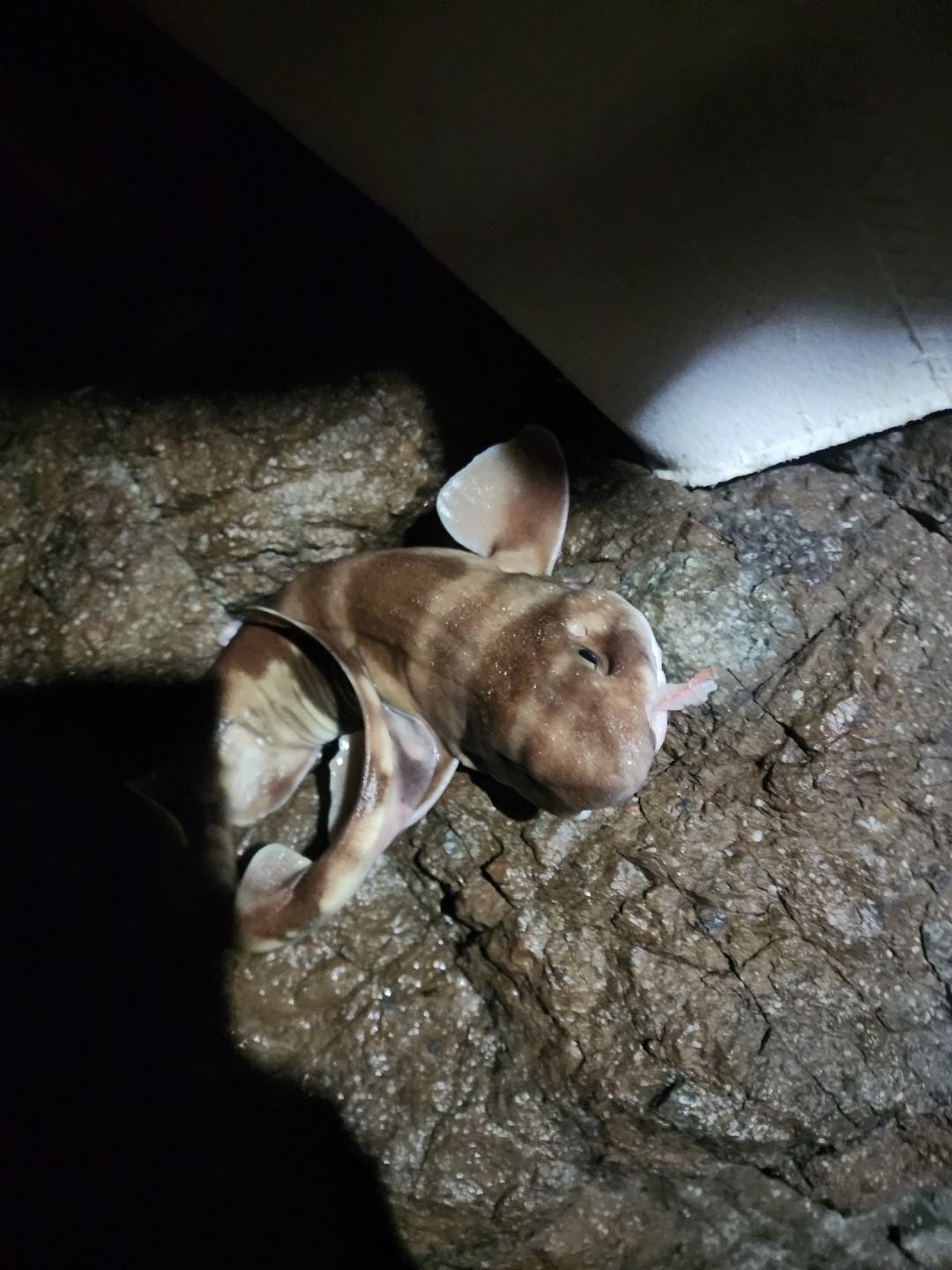 Post image 2