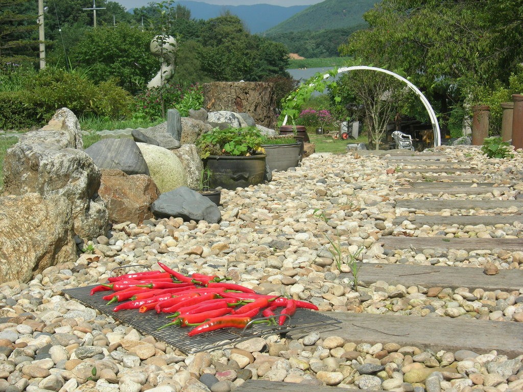 마음의 휴양 전원생활