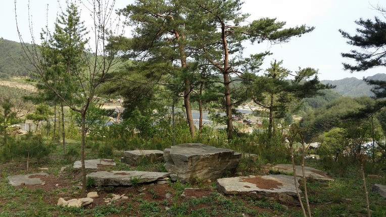 Post image 13