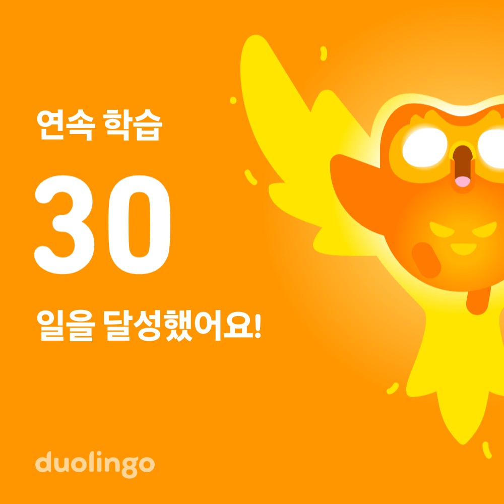 조는 듀오링고 열심히 합니다