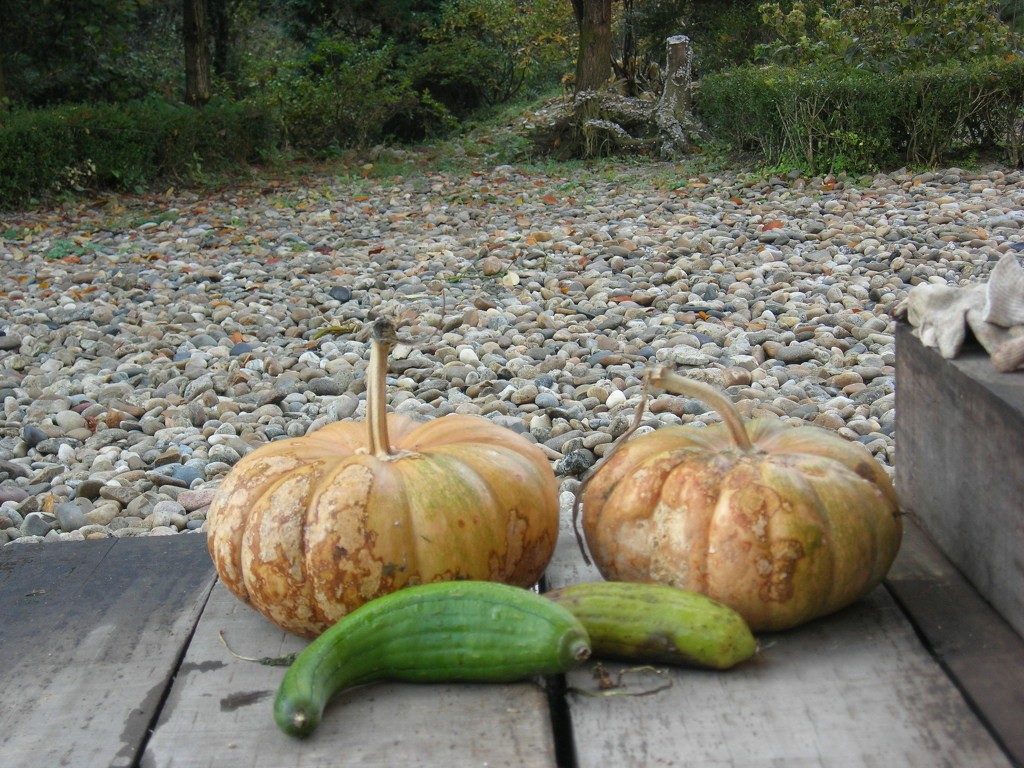 마음의 휴양 전원생활