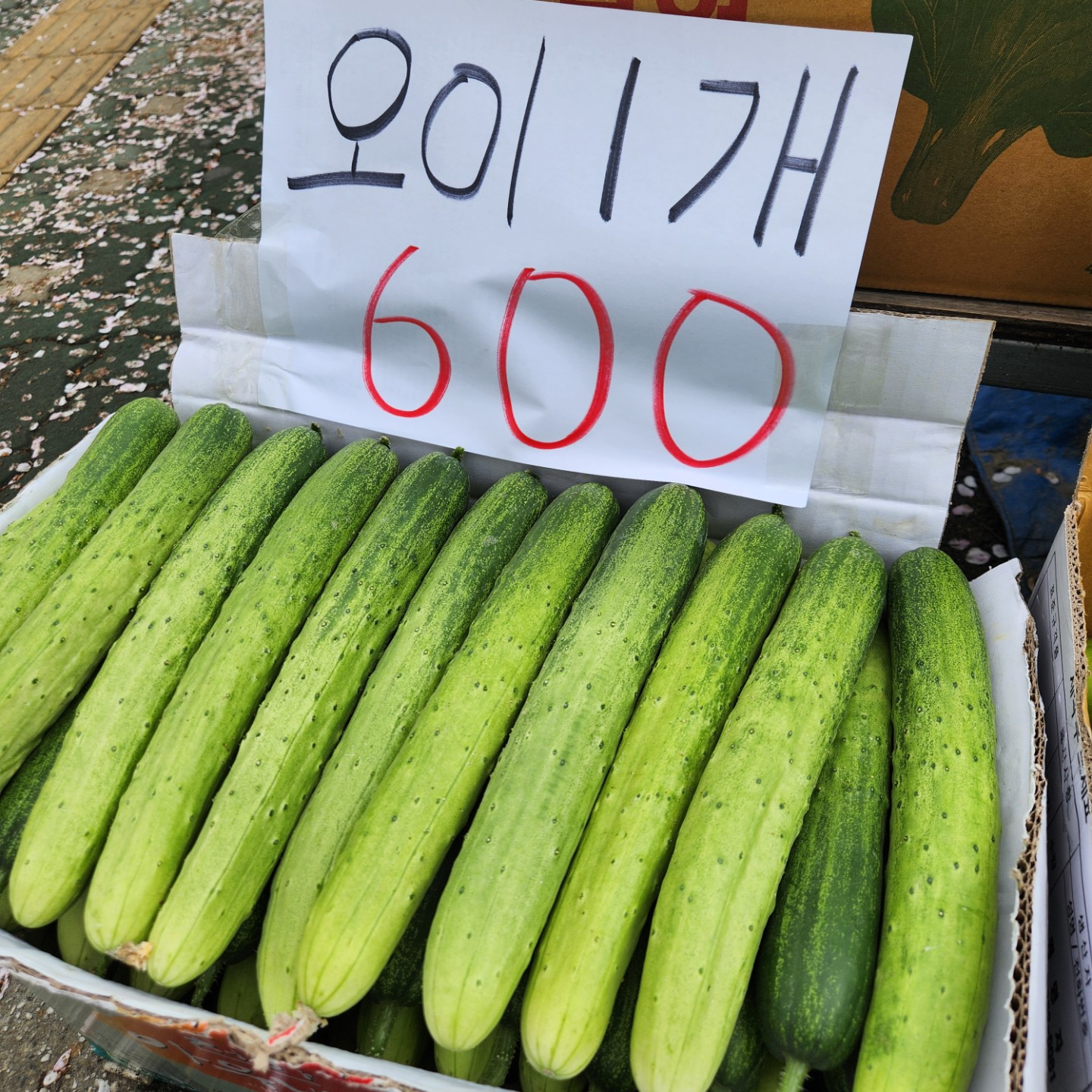 Post image 10