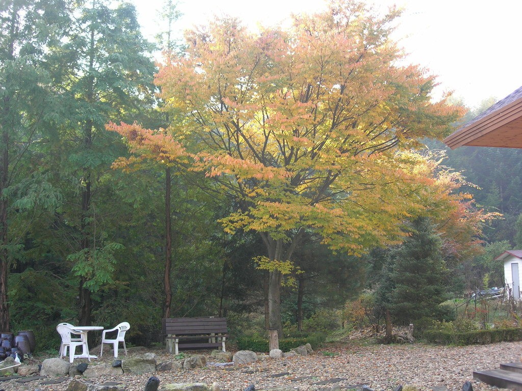 마음의 휴양 전원생활