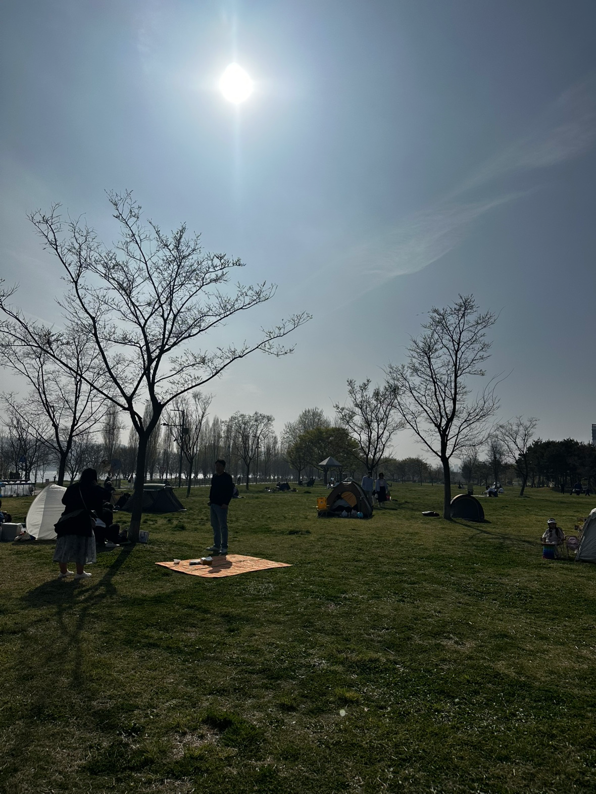 Post image 10