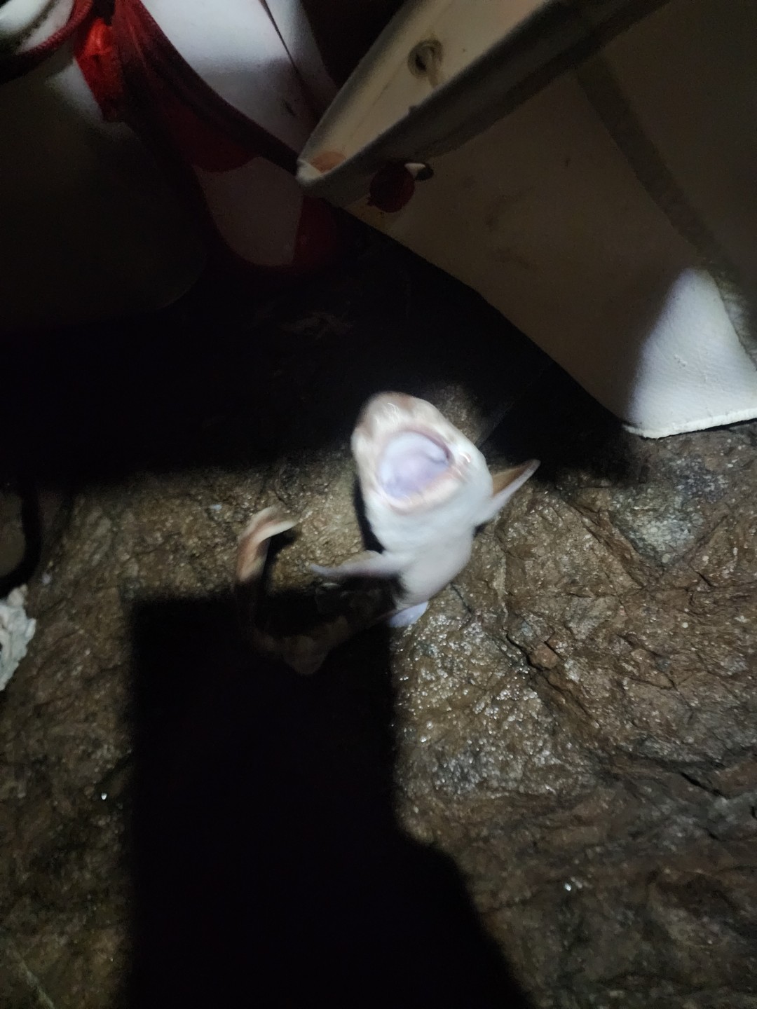 Post image 3