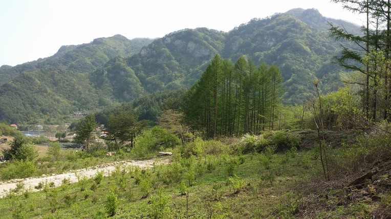Post image 9