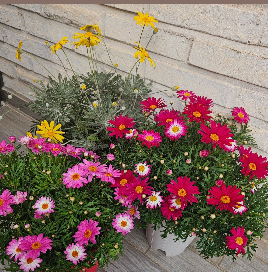 날씨 넘 좋아요