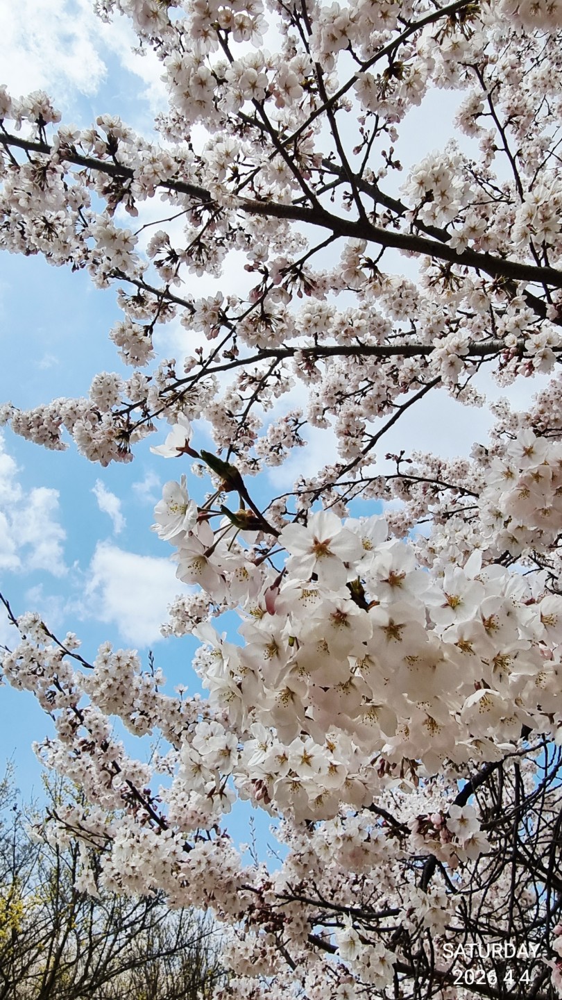 용기가 나는 재미있는 이야기요~^^/