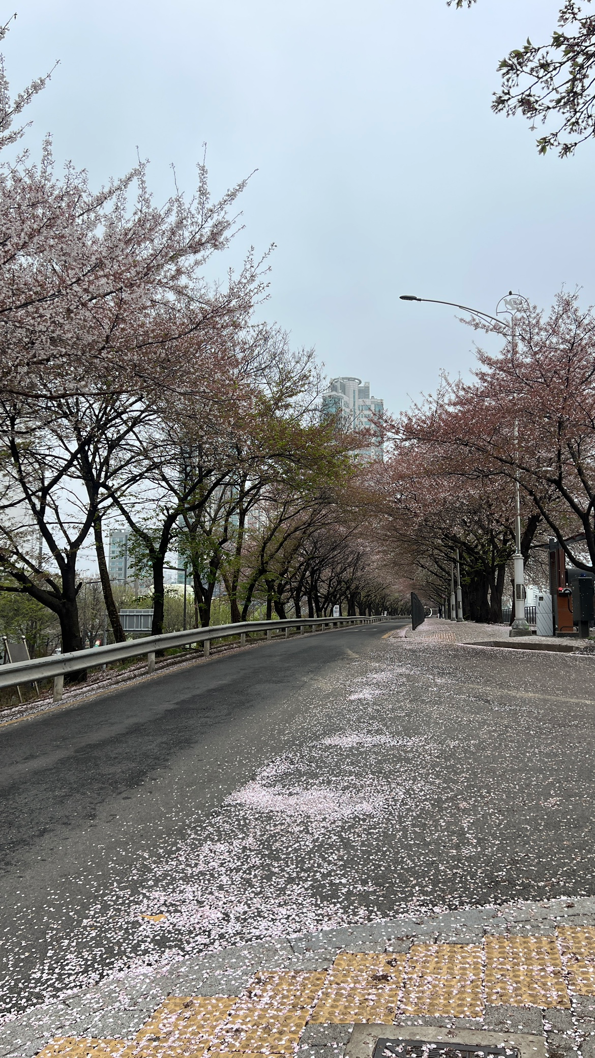 Post image 9