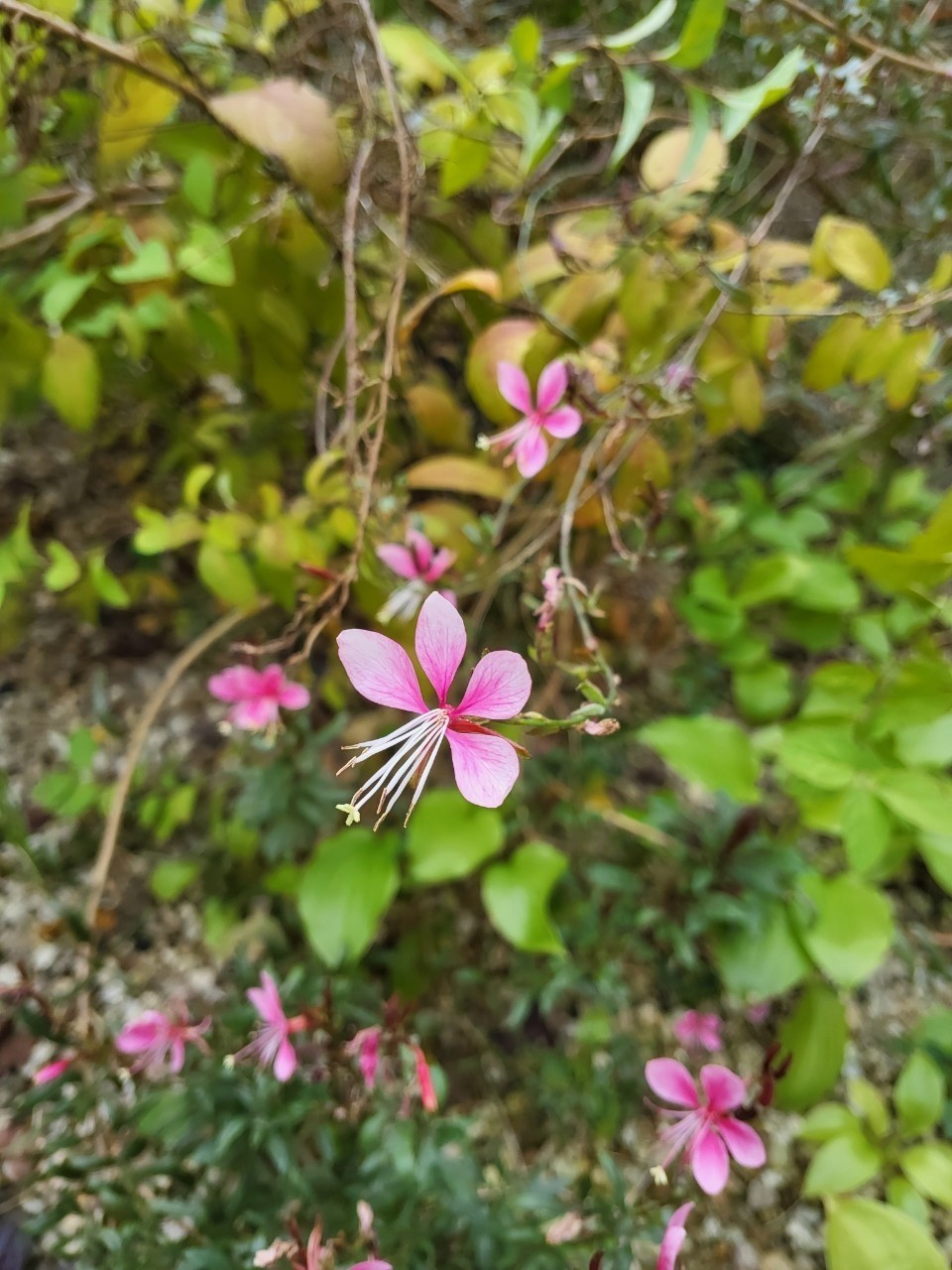 2025 4 12 일 출석부 힘들거든, 다 내려놓고 잠시 쉬어가자.