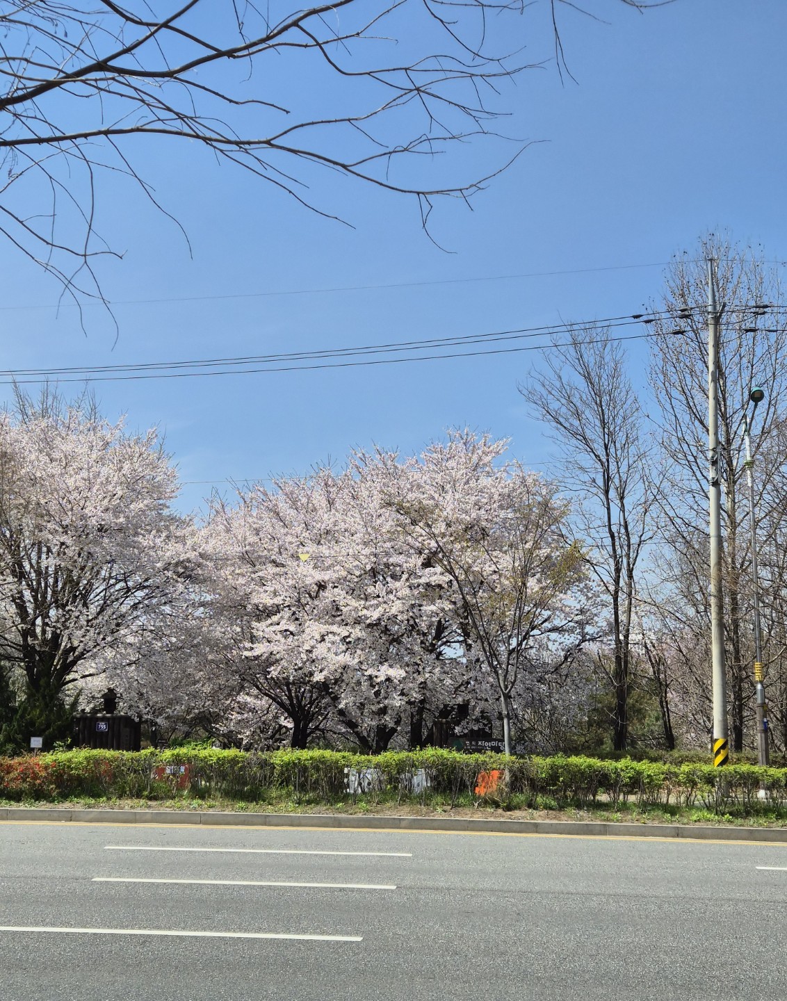 Post image 14