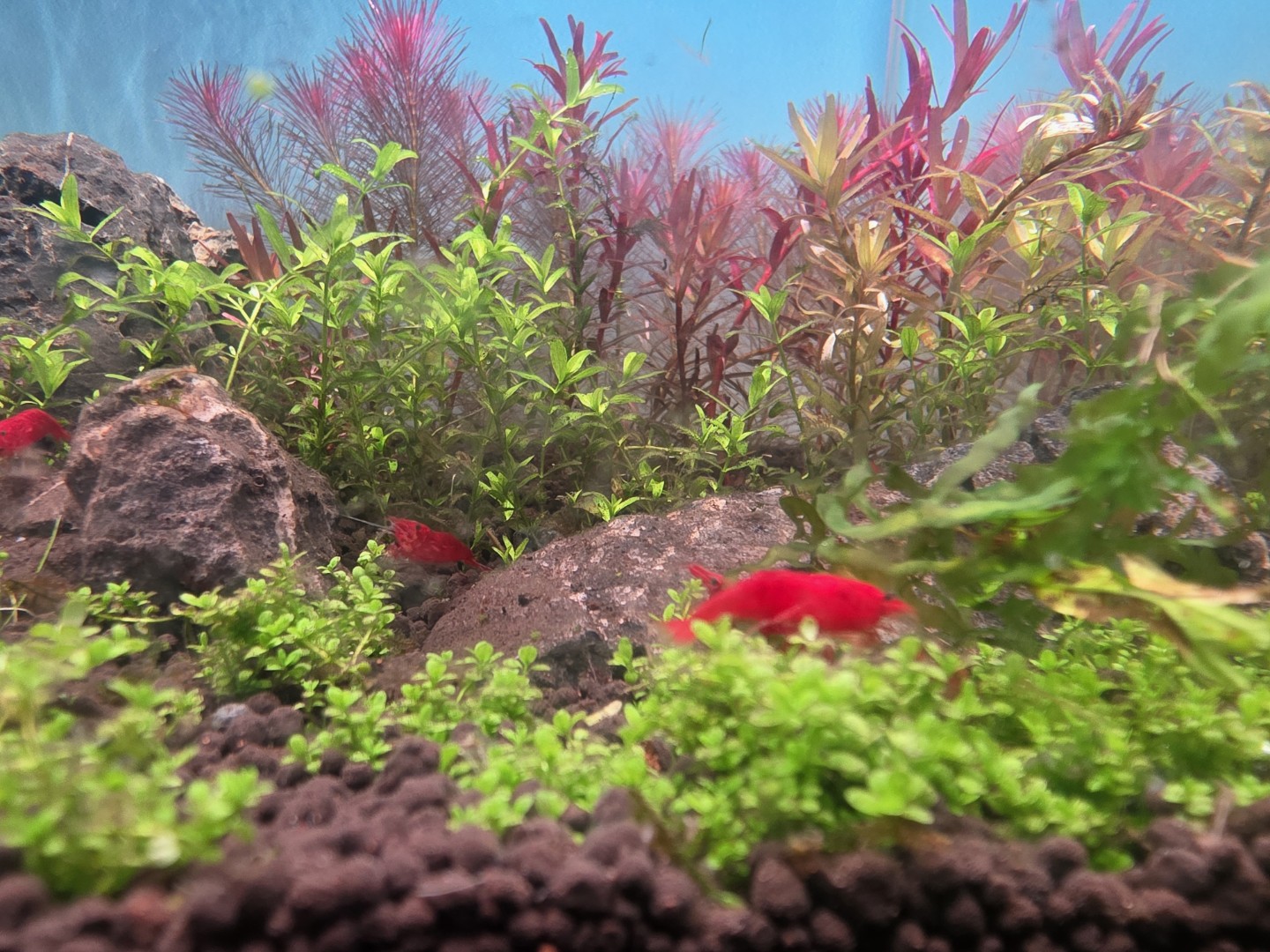 생물 영입했습니다~그리고....