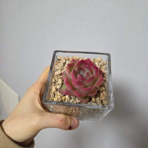 Post image 4