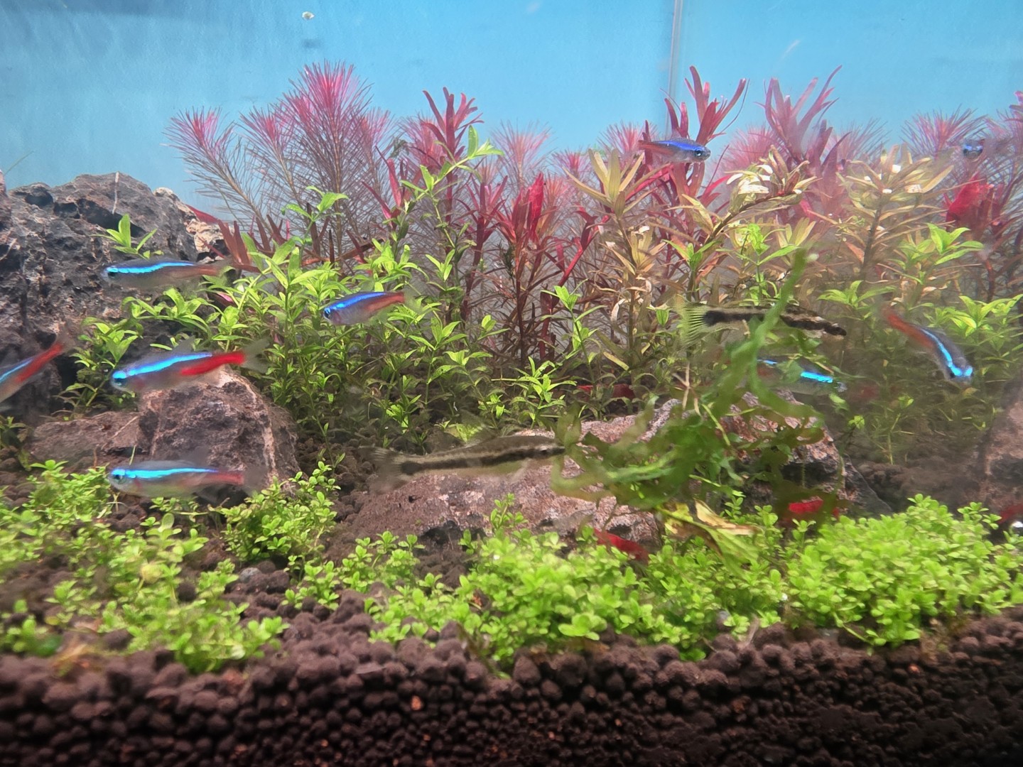 생물 영입했습니다~그리고....