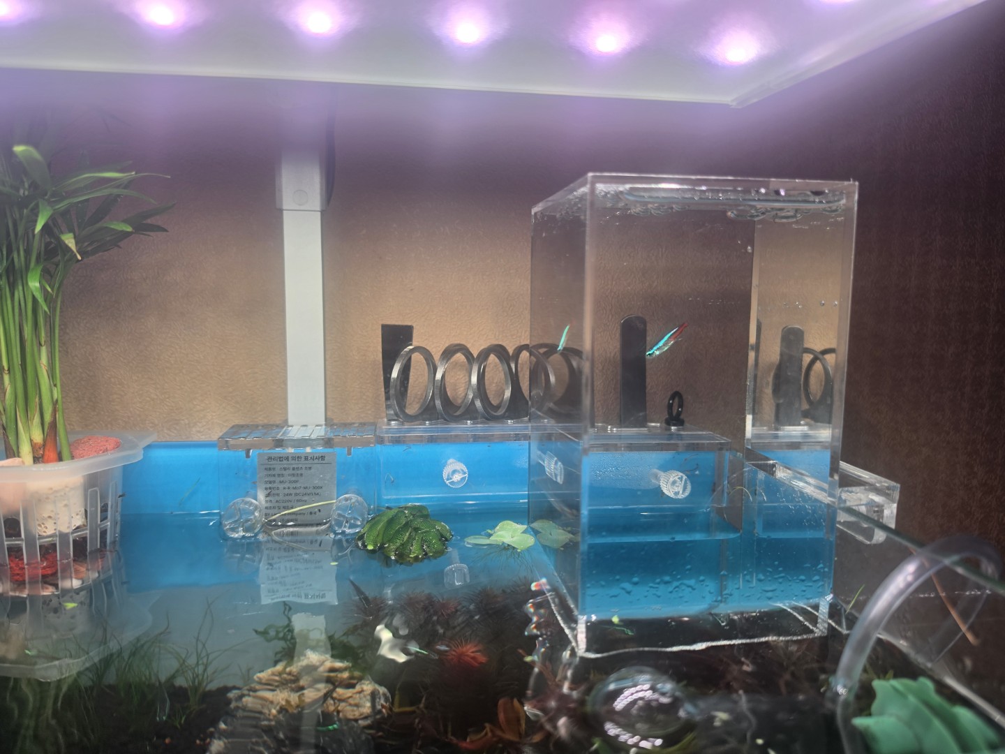 생물 영입했습니다~그리고....