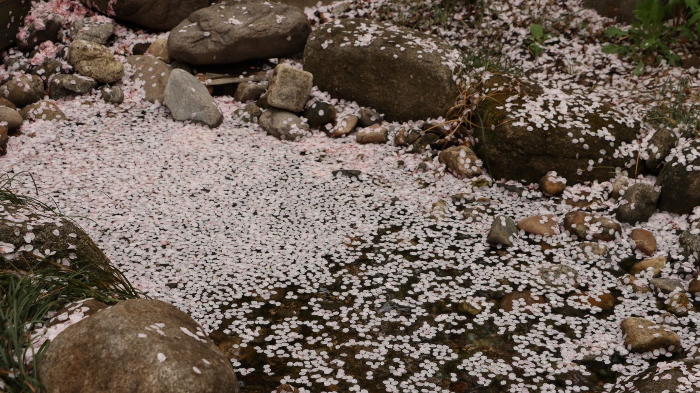 Post image 6