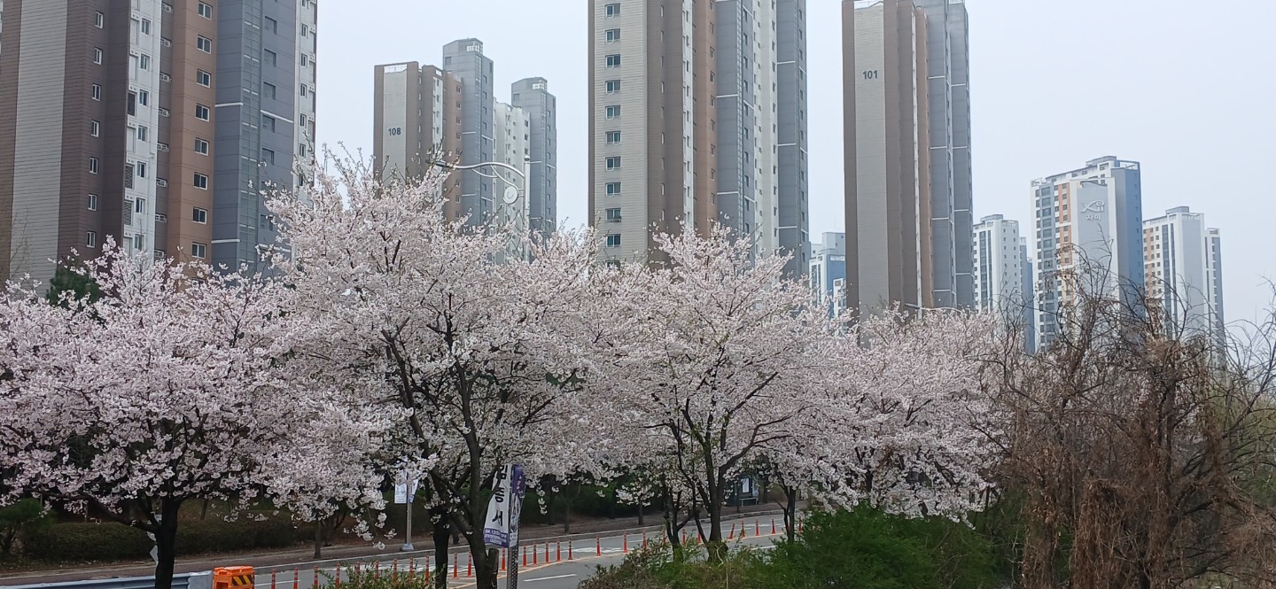 Post image 6