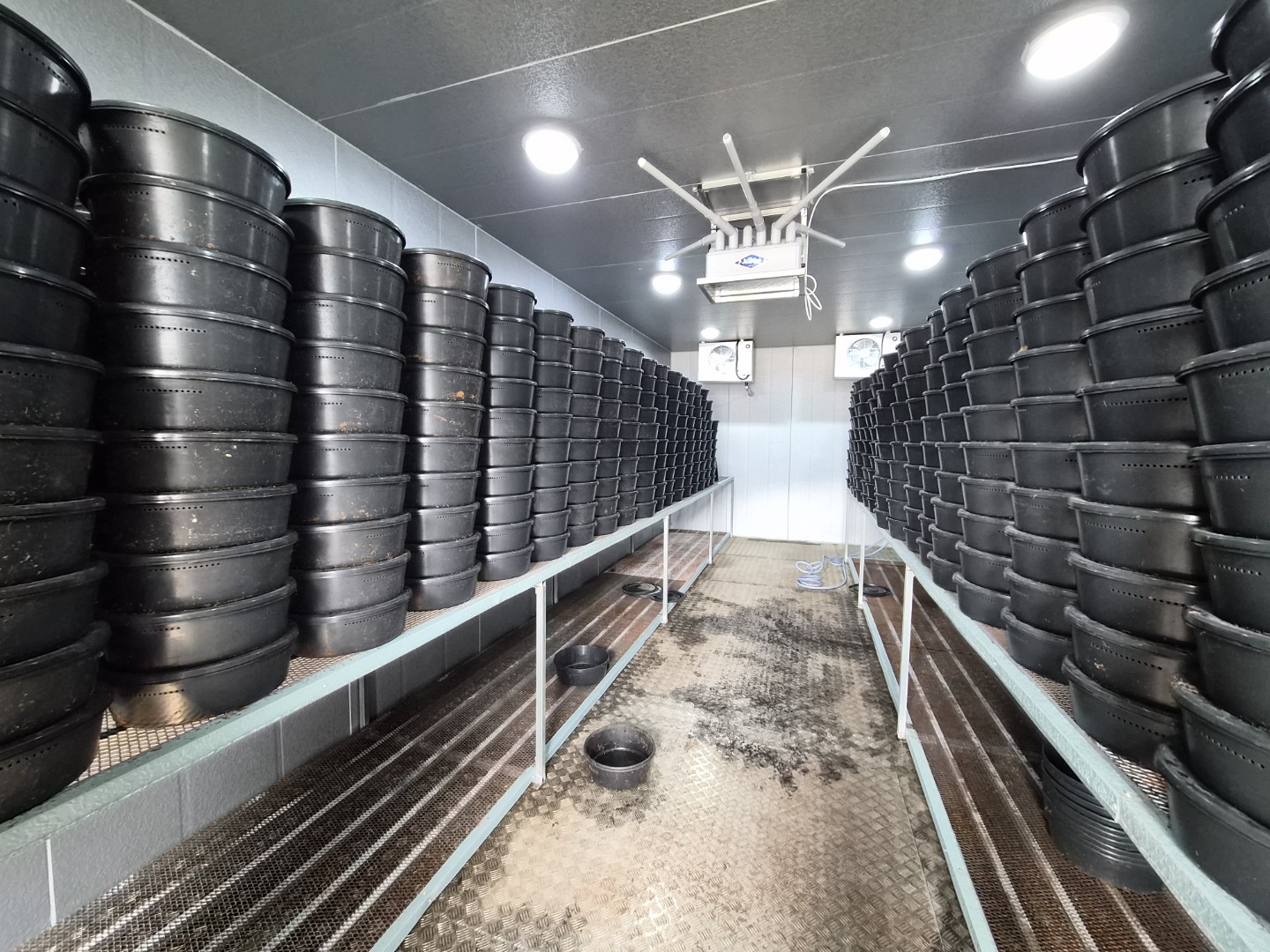 달팽이 사육 농가 모집